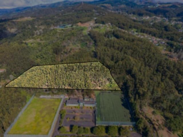 Terreno venda em Santa Cruz, Ilha Da Madeira