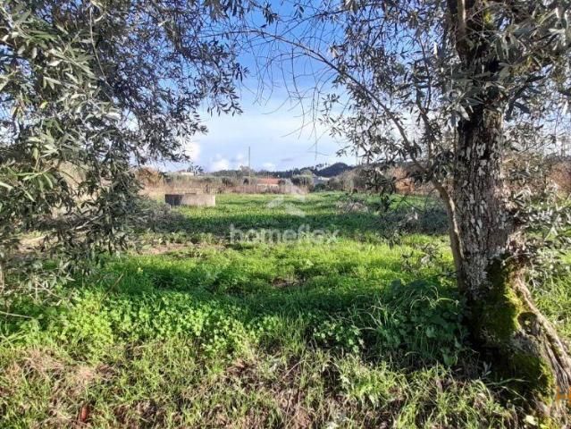 Terreno venda em Soure, Coimbra