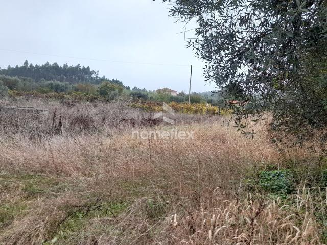 Terreno venda em Pouca Pena, Soure