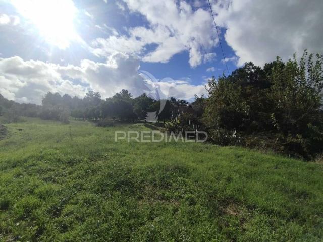 Terreno venda em Chamusca e Pinheiro Grande, Chamusca