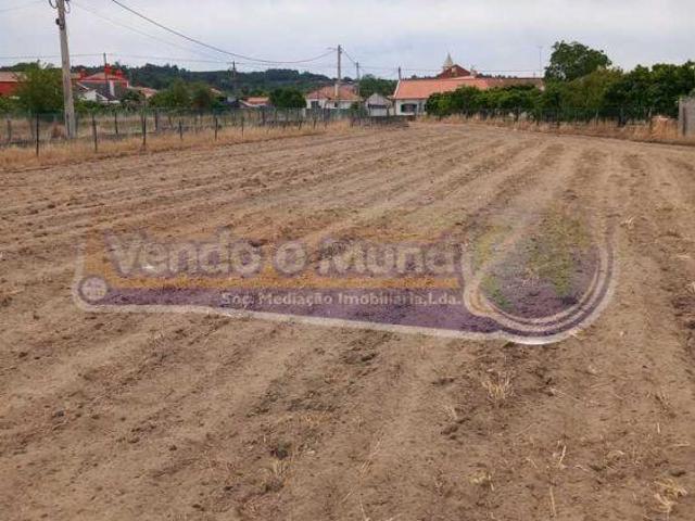 Terreno venda em Chamusca, Santarém