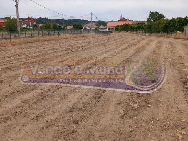 Terreno venda em Chamusca, Santarém