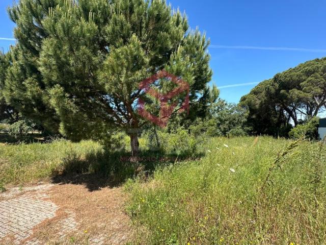 Terreno venda em Sesimbra (Castelo), Sesimbra
