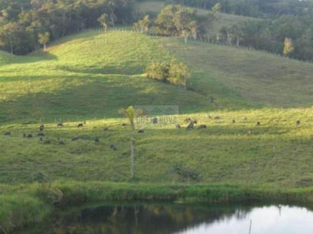 Terreno venda em Capburgo, Ribeirão Pires