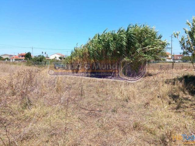Terreno venda em Benavente, Santarém