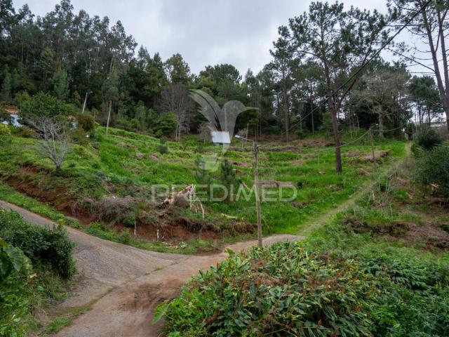 Terreno venda em Santa Cruz, Ilha Da Madeira