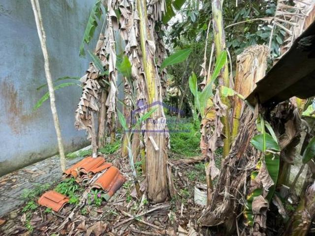 Terreno venda em Região Imediata de Caraguatatuba-Ubatuba-São Sebastião, Região Metropolitana do Vale do Paraíba e Litoral Norte
