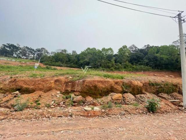 Terreno venda em Região Geográfica Imediata de Bento Gonçalves, Bento Gonçalves