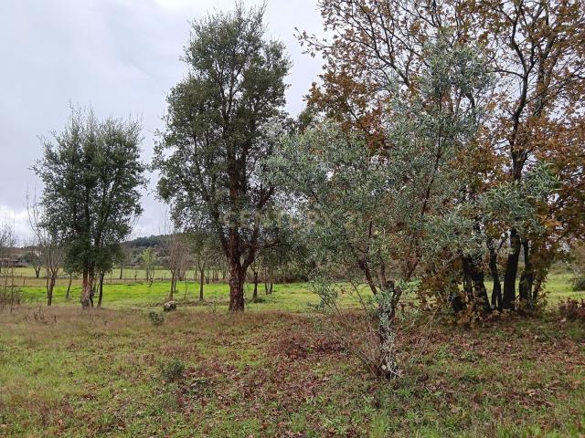 Terreno venda em Castelo Branco, Penamacor
