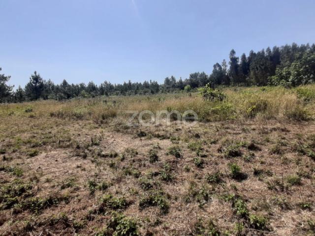 Terreno venda em Vale de Pedras, Soure