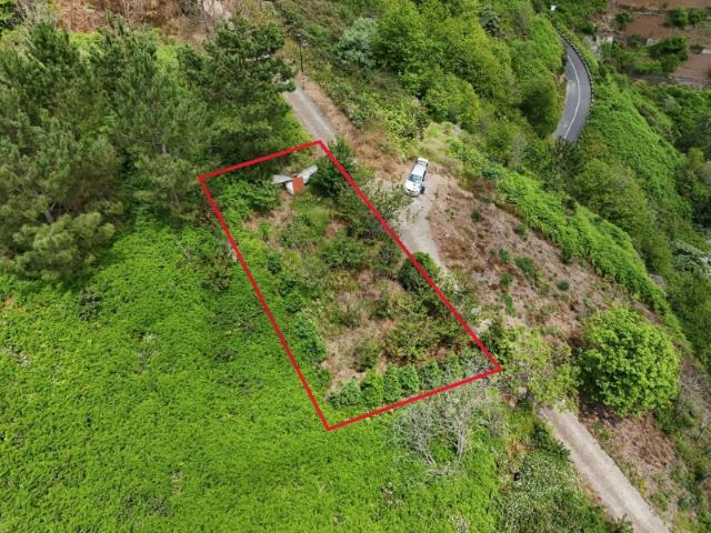 Terreno venda em Cruz da Caldeira, Câmara De Lobos