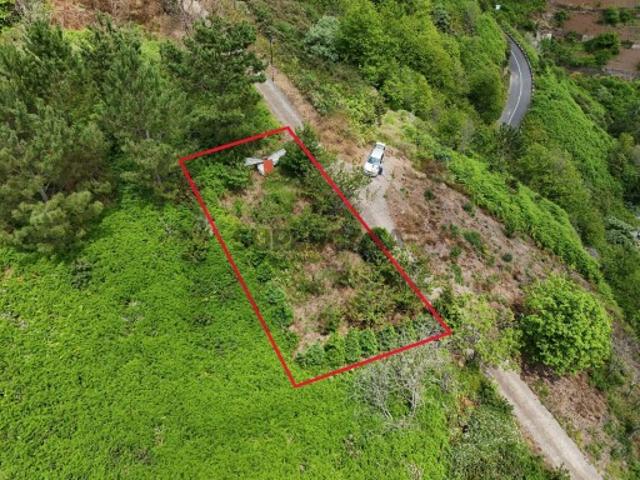 Terreno venda em Câmara De Lobos, Cruz da Caldeira Terreno venda em Câmara De Lobos, Cruz da Caldeira