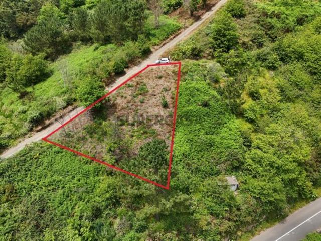 Terreno venda em Câmara De Lobos, Cruz da Caldeira Terreno venda em Câmara De Lobos, Cruz da Caldeira