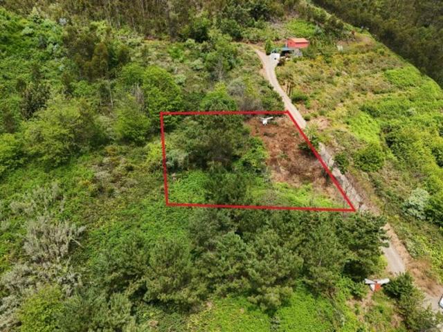 Terreno venda em Câmara De Lobos, Cruz da Caldeira Terreno venda em Câmara De Lobos, Cruz da Caldeira