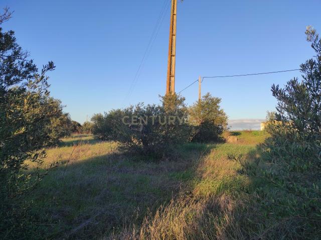 Terreno venda em Campo Maior, Portalegre