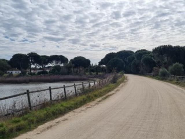 Terreno venda em Benavente, Santarém