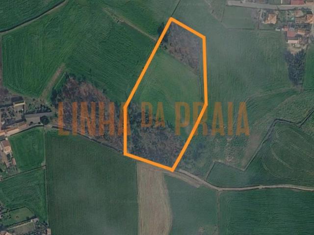 Terreno venda em Junqueira, Vila Do Conde