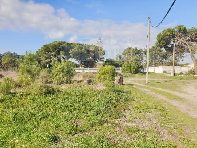 Terreno venda em Sesimbra (Castelo), Sesimbra