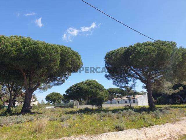 Terreno venda em Sesimbra (Castelo), Sesimbra