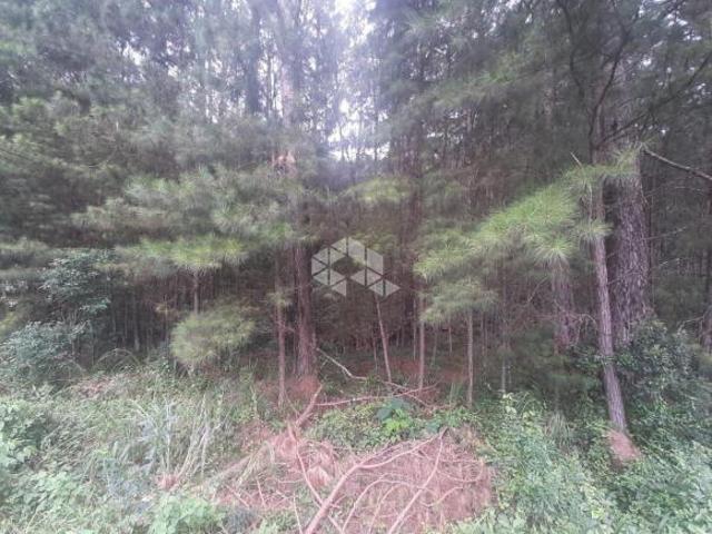 Terreno venda em Região Geográfica Imediata de Bento Gonçalves, Bento Gonçalves