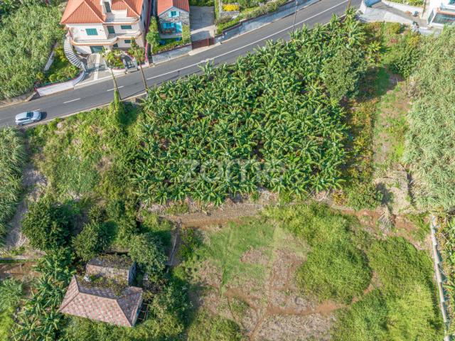 Terreno venda em Ponta Do Sol, Ilha Da Madeira