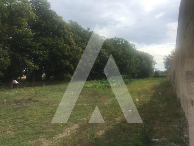 Terreno venda em Oliveira Do Bairro, Aveiro
