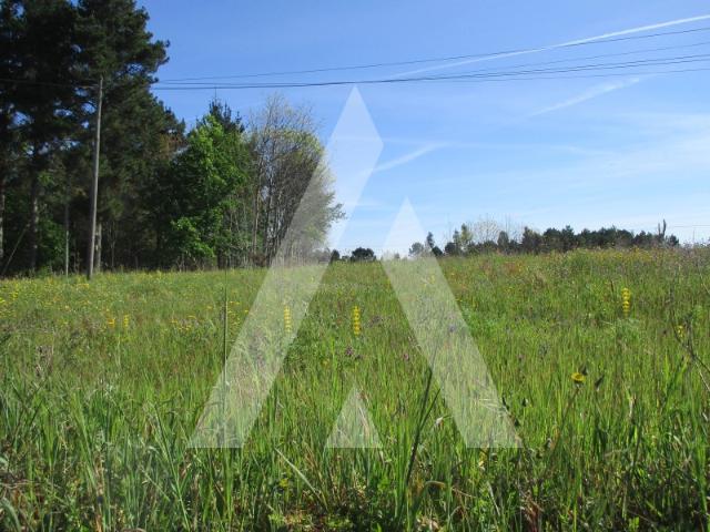 Terreno venda em Oliveira Do Bairro, Aveiro