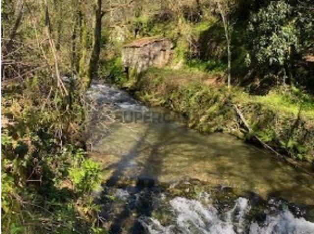 Terreno venda em Sever Do Vouga, Aveiro