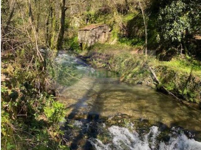 Terreno venda em Sever Do Vouga, Aveiro