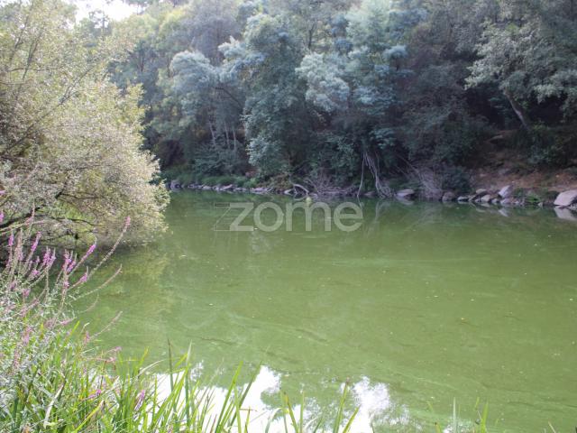Terreno venda em Viseu