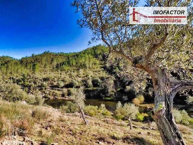 Terreno venda em Castelo Branco