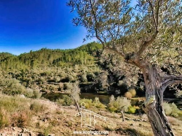 Terreno venda em Castelo Branco