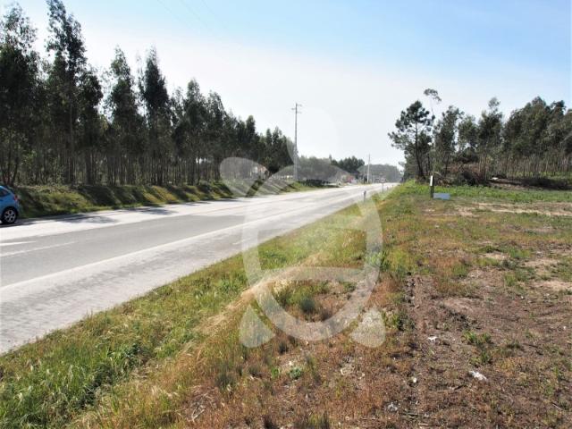 Terreno venda em Figueira Da Foz, Coimbra