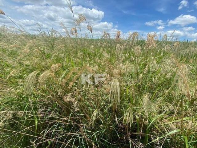 Terreno venda em Bonfim Paulista, Ribeirão Preto