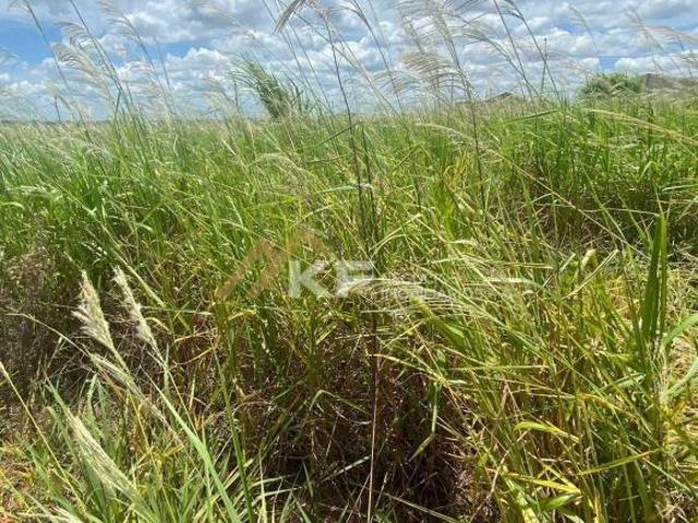Terreno venda em Bonfim Paulista, Ribeirão Preto