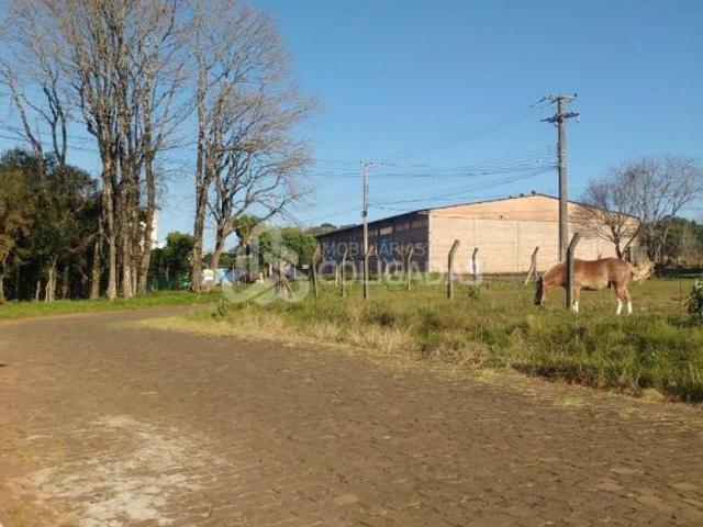 Terreno venda em Passo Fundo