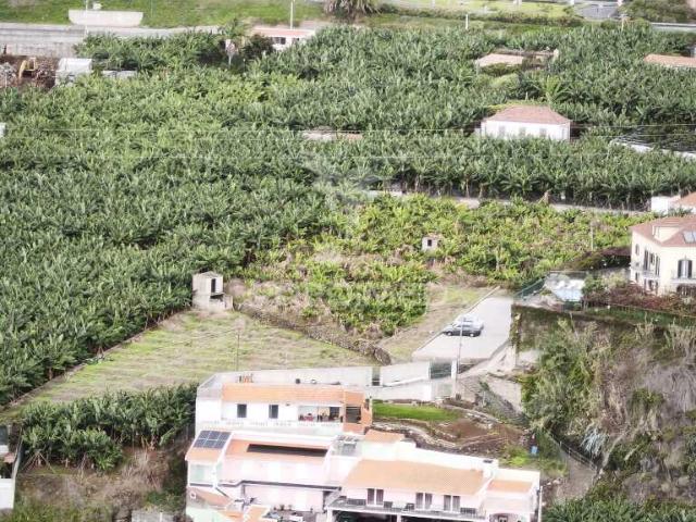 Terreno venda em Câmara De Lobos, Ilha Da Madeira