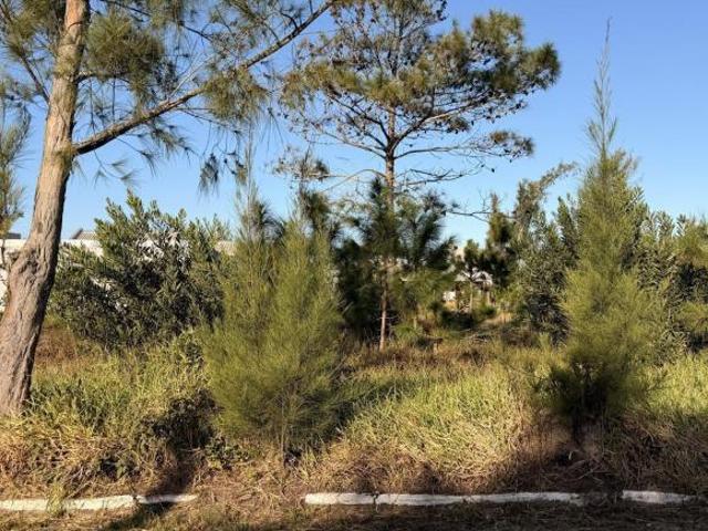 Terreno venda em Região Geográfica Imediata de Tramandaí - Osório, Aglomeração Urbana do Litoral Norte