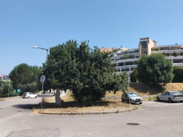 Terreno venda em Coimbrã, Coimbra