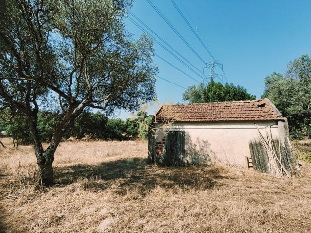Terreno venda em Palmela, Setúbal