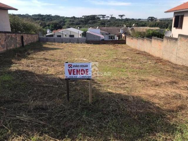 Terreno venda em Região Geográfica Imediata de Lagoa Vermelha, Lagoa Vermelha