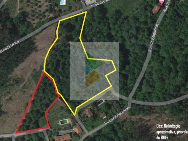 Terreno venda em Ribeira, Ribeira