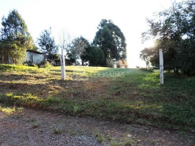Terreno venda em Passo Fundo