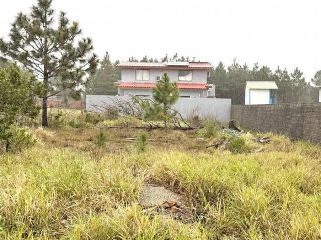 Terreno venda em Região Geográfica Imediata de Tramandaí - Osório, Aglomeração Urbana do Litoral Norte