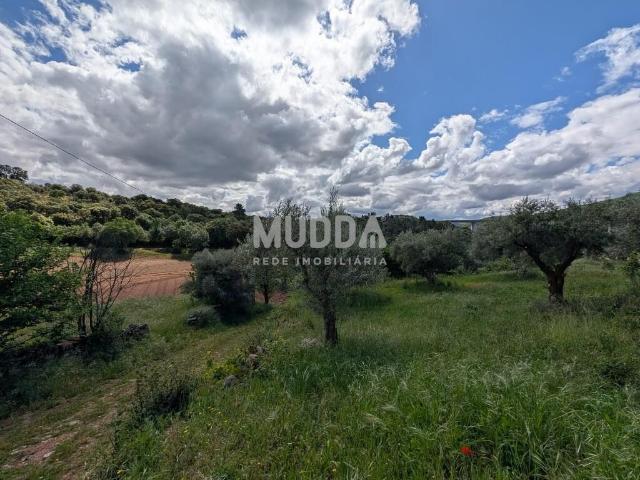 Terreno venda em Bragança