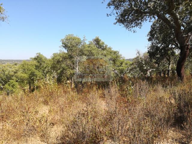 Terreno venda em Grândola, Setúbal