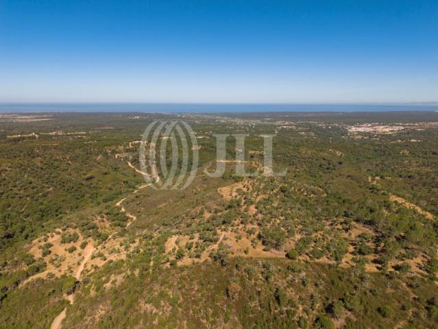 Terreno venda em Grândola, Setúbal
