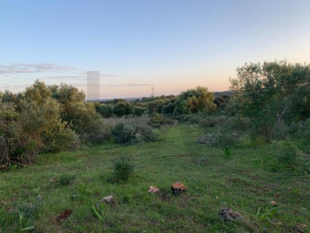 Terreno venda em Alcanena, Santarém