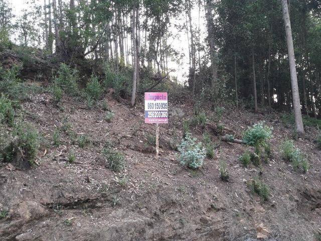 Terreno venda em Oliveira De Azeméis, Aveiro