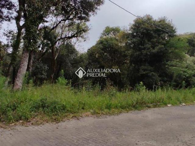 Terreno venda em Região Geográfica Imediata de Caxias do Sul, Canela